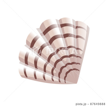 Sea shell. Colorful tropical shell underwater icon. Cartoon marine life. Seashell summer symbol concept 87649888