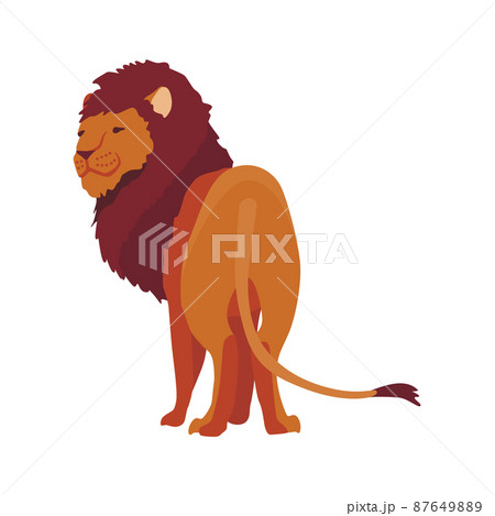 Proud powerful lion character. King of animal. Cartoon cute wild cat standing. Isolated vector Illustrations on a white background 87649889