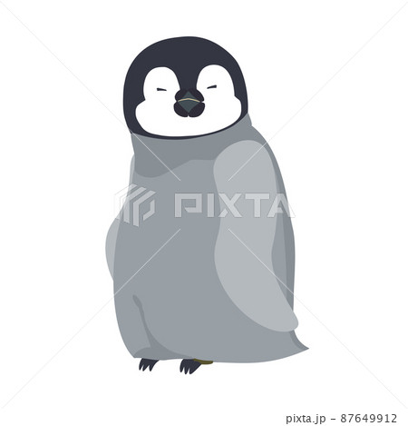 かわいいエンペラーペンギンの赤ちゃん 87649912