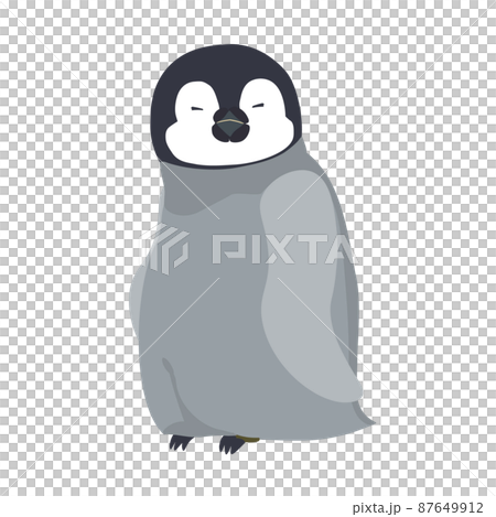 かわいいエンペラーペンギンの赤ちゃん 87649912