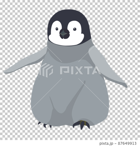 エンペラーペンギン　よちよち歩きの赤ちゃん 87649913