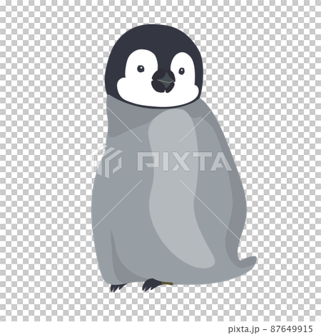 ふりむきポーズ　エンペラーペンギンの赤ちゃん 87649915