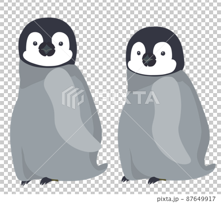 蹣跚學步的一對帝企鵝 87649917
