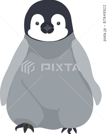 かわいいエンペラーペンギンの赤ちゃん正面立ちポーズのイラスト素材