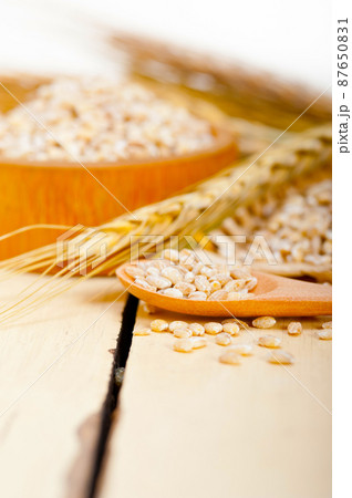 organic wheat grains 87650831