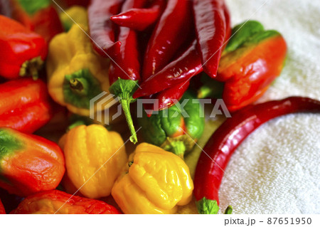 Red and yellow fresh capsicum on a white towel 87651950