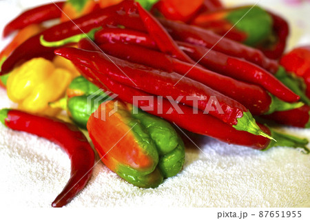 Red and yellow fresh capsicum on a white towel Red and yellow fresh capsicum on a white towel 87651955