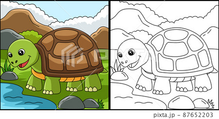 Turtle Coloring Page Animal Illustration Turtle Coloring Page Animal Illustration 87652203