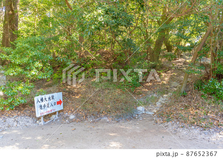 栗野岳八幡大地獄の遊歩道 87652367