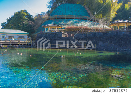 丸池湧水の風景 87652375