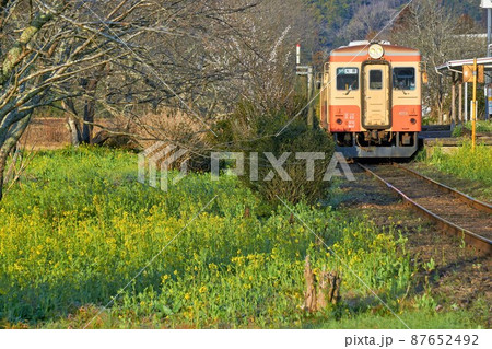菜の花咲く駅と列車 いすみ鉄道 菜の花咲く駅と列車 いすみ鉄道 87652492