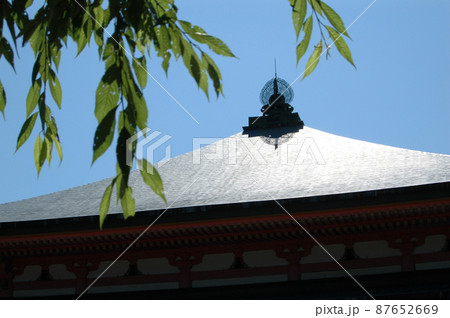 比叡山延暦寺 阿弥陀堂の屋根 滋賀県大津市坂本 比叡山延暦寺 阿弥陀堂の屋根 滋賀県大津市坂本 87652669