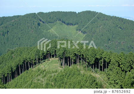 比叡山延暦寺 周囲の杉山 滋賀県大津市坂本 比叡山延暦寺 周囲の杉山 滋賀県大津市坂本 87652692