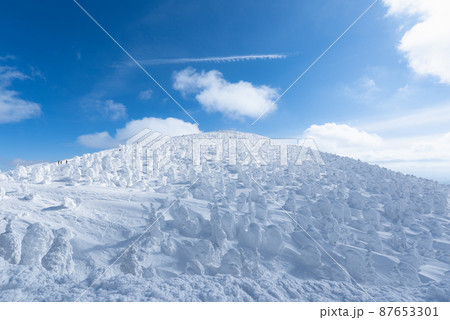 山形蔵王白銀世界樹氷原の地蔵岳の樹氷 87653301