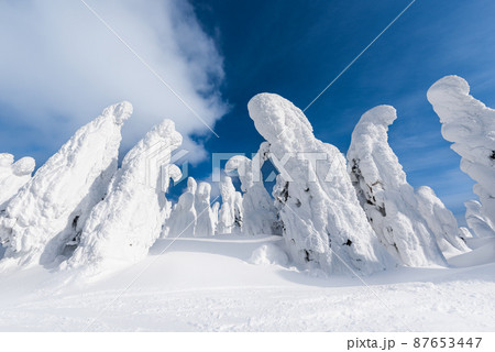 山形蔵王白銀世界樹氷原の樹氷 87653447