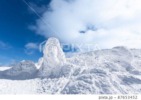 山形蔵王白銀世界樹氷原の地蔵岳の樹氷 87653452