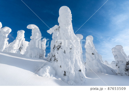 山形蔵王白銀世界樹氷原の樹氷 87653509