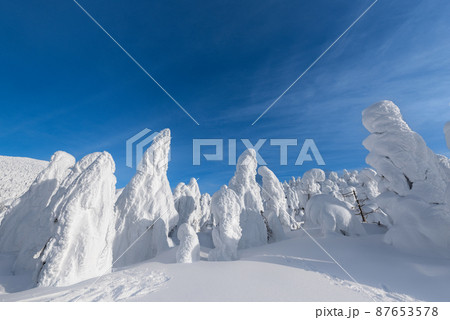 山形蔵王白銀世界樹氷原の樹氷 87653578
