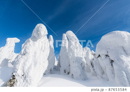 山形蔵王白銀世界樹氷原の樹氷 87653584