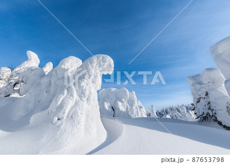 山形蔵王白銀世界樹氷原の樹氷 87653798