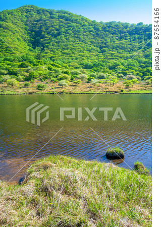 赤城公園　覚満淵　遊歩道からの眺め　　初夏の風景　　　 87654166