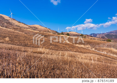 （静岡県）山焼き後の細野高原　冬 87654189