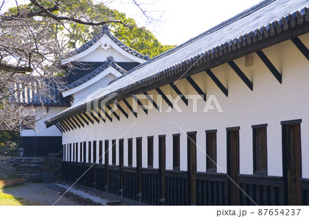 早春の福岡城【福岡県】 87654237