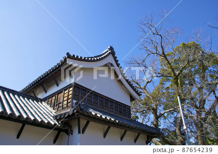 早春の福岡城【福岡県】 87654239