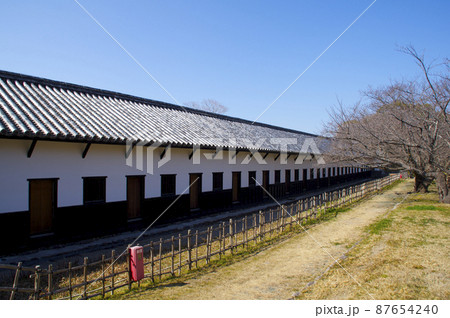 早春の福岡城【福岡県】 早春の福岡城【福岡県】 87654240