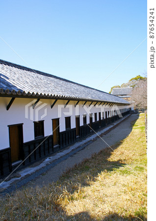 早春の福岡城【福岡県】 87654241