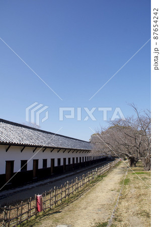 早春の福岡城【福岡県】 87654242