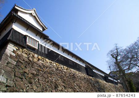早春の福岡城【福岡県】 早春の福岡城【福岡県】 87654243