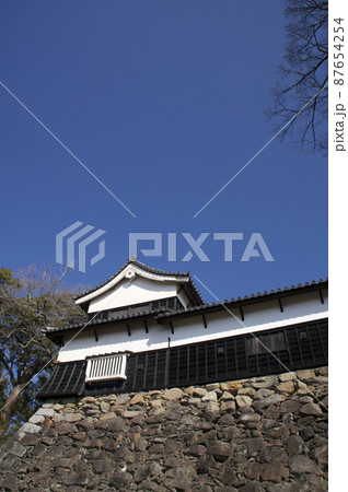 早春の福岡城【福岡県】 87654254