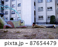 探しモノ 87654479