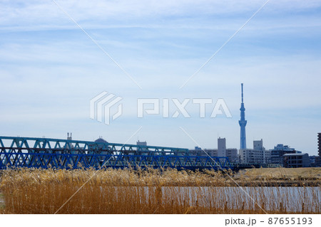 荒川の川原のヨシの穂と東京スカイツリー 荒川の川原のヨシの穂と東京スカイツリー 87655193