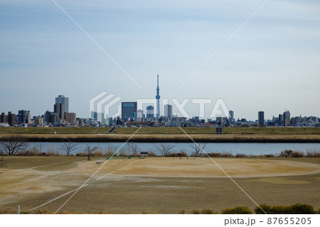 荒川の川原より東京スカイツリーを望む 荒川の川原より東京スカイツリーを望む 87655205