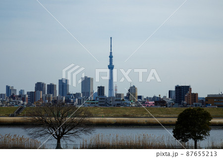 荒川の川原より東京スカイツリーを望む 荒川の川原より東京スカイツリーを望む 87655213