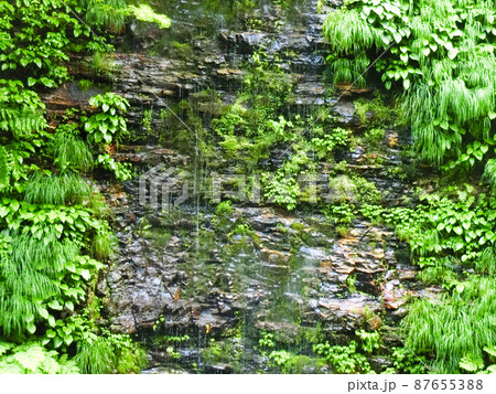小安峡大噴湯周辺の湧水（秋田県湯沢市） 87655388