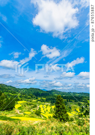 新潟県十日町市　星峠の棚田　～秋・稲刈り間近～ 87655887