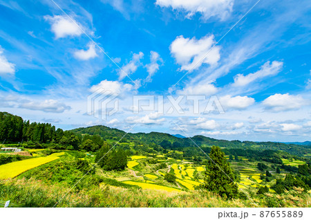 新潟県十日町市 星峠の棚田 ~秋・稲刈り間近~ 新潟県十日町市 星峠の棚田 ~秋・稲刈り間近~ 87655889