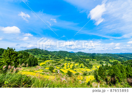 新潟県十日町市　星峠の棚田　～秋・稲刈り間近～ 87655893