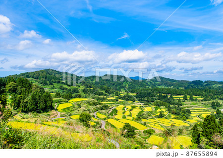 新潟県十日町市 星峠の棚田 ~秋・稲刈り間近~ 新潟県十日町市 星峠の棚田 ~秋・稲刈り間近~ 87655894