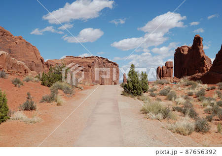 春のアメリカ・グランドサークルドライブ 87656392