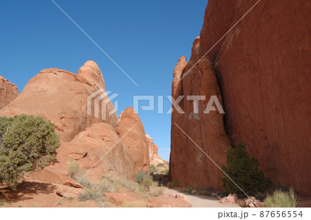 春のアメリカ・グランドサークルドライブ 87656554