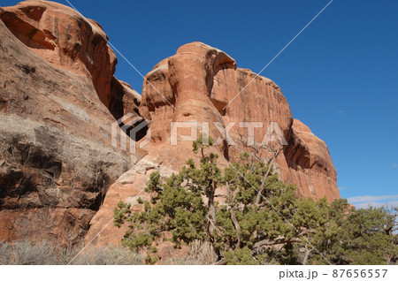 春のアメリカ・グランドサークルドライブ 87656557