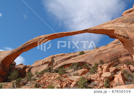 春のアメリカ・グランドサークルドライブ 春のアメリカ・グランドサークルドライブ 87656559