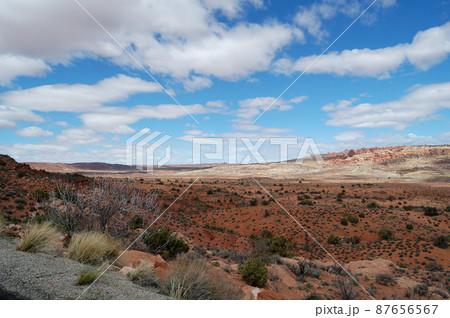 春のアメリカ・グランドサークルドライブ 87656567