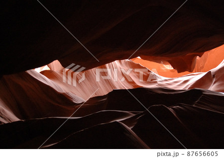 春のアメリカ・グランドサークルドライブ 87656605