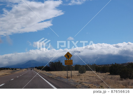 春のアメリカ・グランドサークルドライブ 87656616