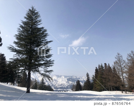 ゲレンデ風景 舞子スノーリゾート ゲレンデ風景 舞子スノーリゾート 87656764